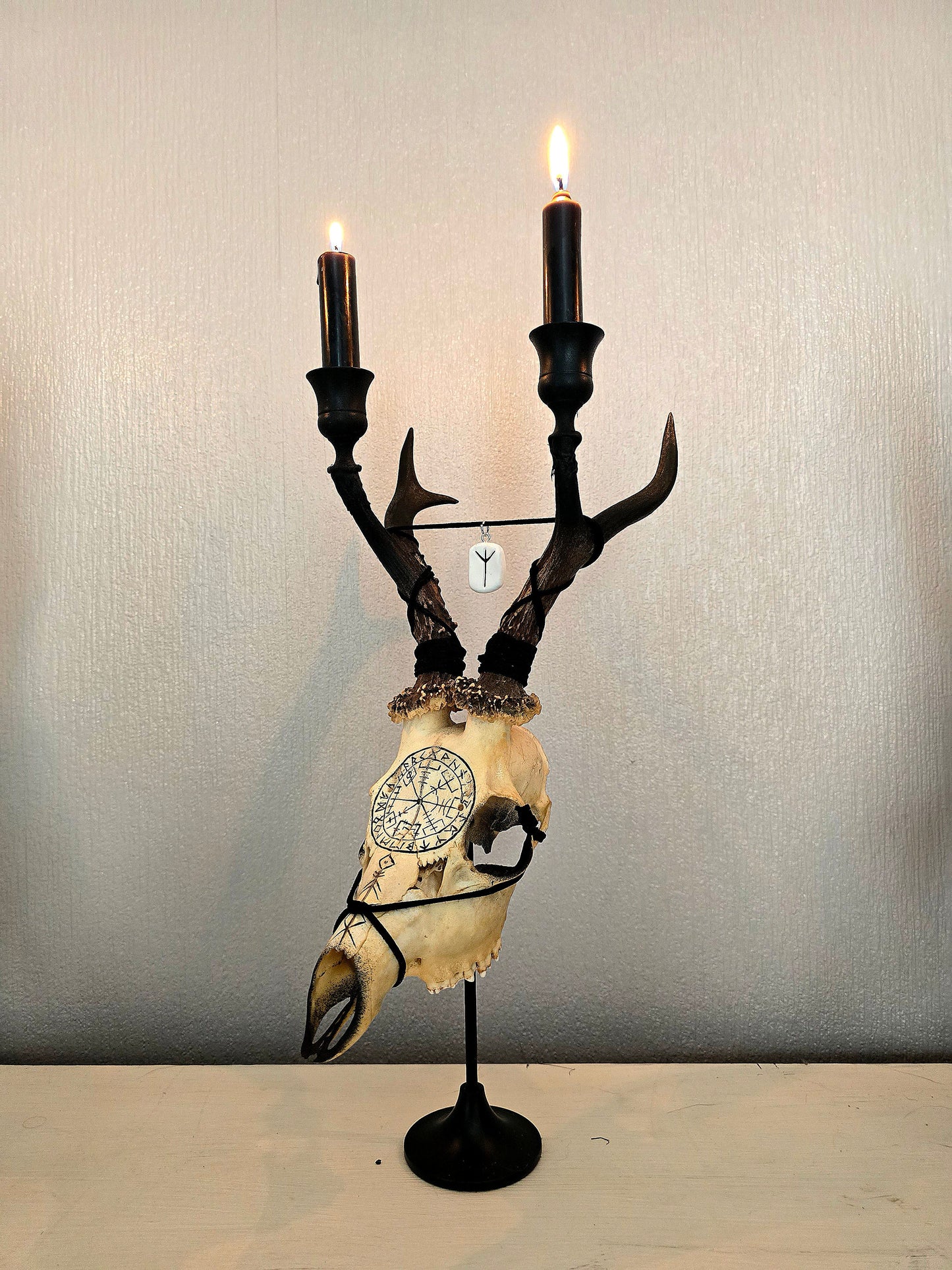 ON SALE🔥 REAL ROE DEER SKULL CANDLE HOLDER ART