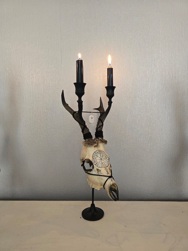 ON SALE🔥 REAL ROE DEER SKULL CANDLE HOLDER ART